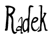 The image is a stylized text or script that reads 'Radek' in a cursive or calligraphic font.