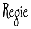 The image contains the word 'Regie' written in a cursive, stylized font.