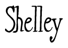 The image contains the word 'Shelley' written in a cursive, stylized font.