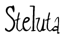 The image is of the word Steluta stylized in a cursive script.
