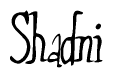 The image is a stylized text or script that reads 'Shadni' in a cursive or calligraphic font.