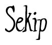 The image contains the word 'Sekip' written in a cursive, stylized font.