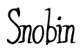 The image is of the word Snobin stylized in a cursive script.