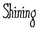 The image is a stylized text or script that reads 'Shining' in a cursive or calligraphic font.
