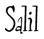 The image is of the word Salil stylized in a cursive script.
