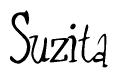 The image is of the word Suzita stylized in a cursive script.