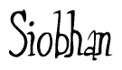 The image contains the word 'Siobhan' written in a cursive, stylized font.