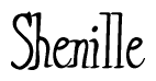 The image is of the word Shenille stylized in a cursive script.