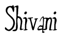 The image contains the word 'Shivani' written in a cursive, stylized font.