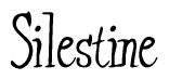 The image contains the word 'Silestine' written in a cursive, stylized font.