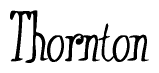 The image is of the word Thornton stylized in a cursive script.
