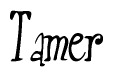 The image contains the word 'Tamer' written in a cursive, stylized font.