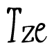 The image is of the word Tze stylized in a cursive script.