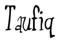The image contains the word 'Taufiq' written in a cursive, stylized font.