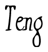 The image is a stylized text or script that reads 'Teng' in a cursive or calligraphic font.