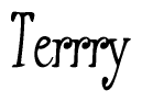 The image is of the word Terrry stylized in a cursive script.