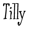 Tilly Calligraphy Text 