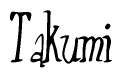 The image contains the word 'Takumi' written in a cursive, stylized font.