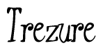 The image contains the word 'Trezure' written in a cursive, stylized font.