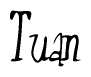 The image is a stylized text or script that reads 'Tuan' in a cursive or calligraphic font.