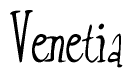 The image contains the word 'Venetia' written in a cursive, stylized font.