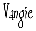 The image is of the word Vangie stylized in a cursive script.