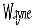 The image contains the word 'Wayne' written in a cursive, stylized font.