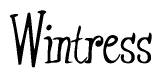 The image contains the word 'Wintress' written in a cursive, stylized font.