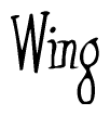 The image is of the word Wing stylized in a cursive script.