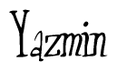 Cursive Script 'Yazmin' Text