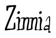 The image is a stylized text or script that reads 'Zinnia' in a cursive or calligraphic font.