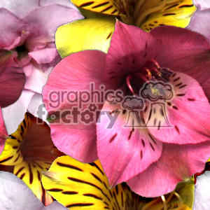 A colorful clipart image featuring a variety of flowers, including pink, yellow, and white petals with intricate patterns.