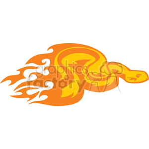 rattle snake with flames on white