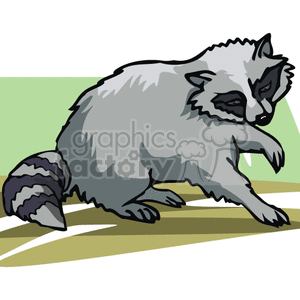 The clipart image shows a raccoon, which are not rodents but mammals, standing on its paws, with one raised