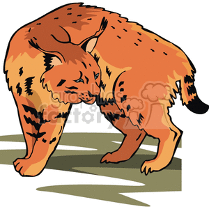 The image shows a cartoon of a lynx with a black nose. It is looking backwards as if it has spotted something. It has some spots and lines on its fur in different places, and a short tail
