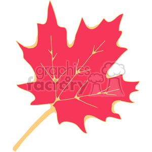 red Sugar Maple Leaf