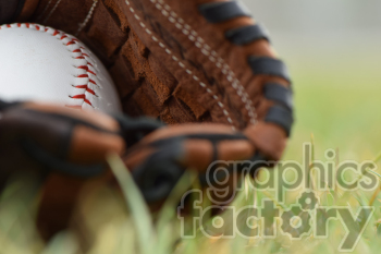 baseball glove in grass