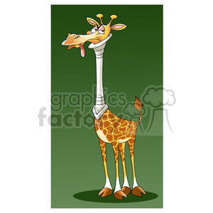 giraffe with neck brace