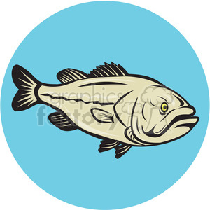   LARGEMOUTH BASS FISH side CIRC 
