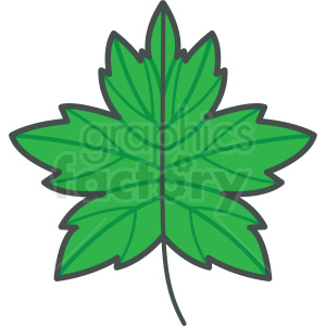 green leaf vector icon