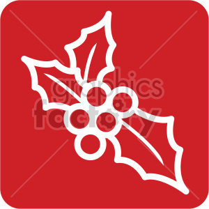 white christmas holly berries vector icon