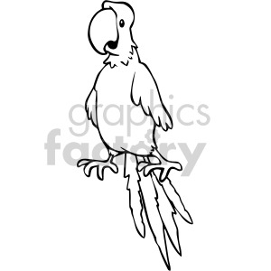 A black and white clipart image of a parrot standing with a curved beak and long tail feathers.