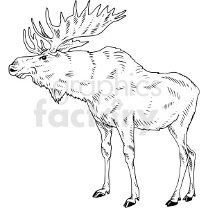 The image displays a black and white line drawing of a moose. The moose appears to be in profile, showcasing its large, palmate (open and flat) antlers and thick fur, which is represented by textured lines.