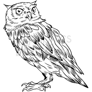 A detailed black and white clipart drawing of an owl standing upright.