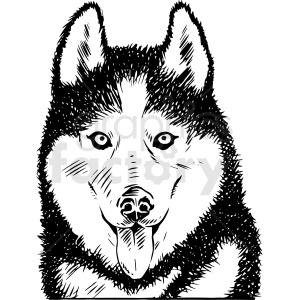 The clipart image depicts a black and white illustration of a husky dog's face. The husky is shown with its characteristic pointed ears, almond-shaped eyes, and thick fur.