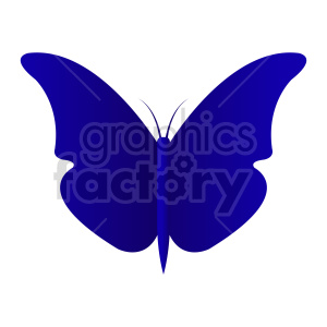 Blue Butterfly