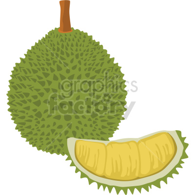 durian fruit vector clipart