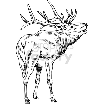 The clipart image features a line-art illustration of a deer in a dynamic pose with its head turned slightly upwards as if calling or being alert. It showcases prominent antlers, which indicate that it is likely a male deer, often referred to as a stag or buck.