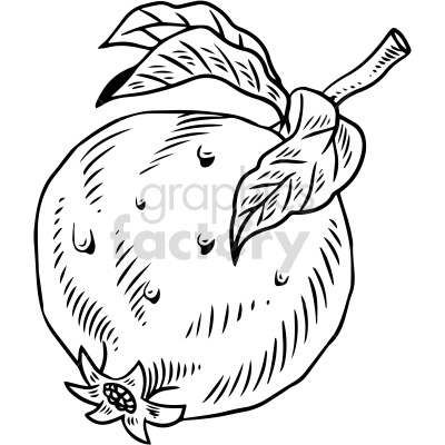 A detailed black and white clipart illustration of a pomegranate fruit, complete with its stem and leaves. The drawing showcases the fruit's distinct texture and markings.
