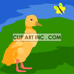 Animated duck with butterfly